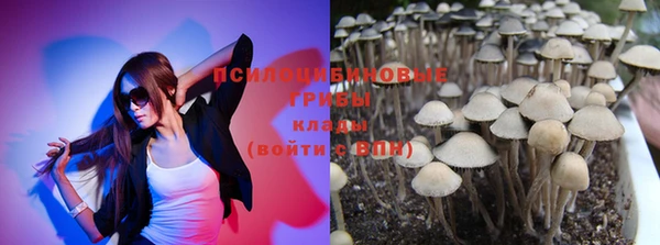 COCAINE Алексеевка