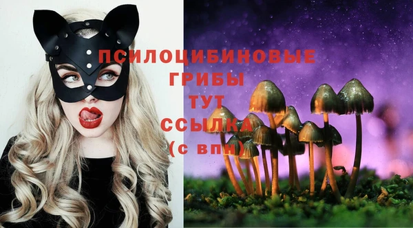 ГАЛЛЮЦИНОГЕННЫЕ ГРИБЫ Алексин