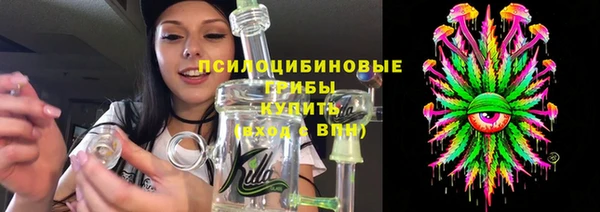ГАЛЛЮЦИНОГЕННЫЕ ГРИБЫ Алексин
