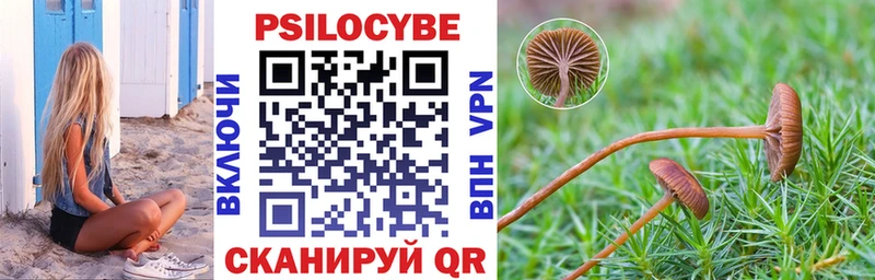 Галлюциногенные грибы Cubensis Горбатов